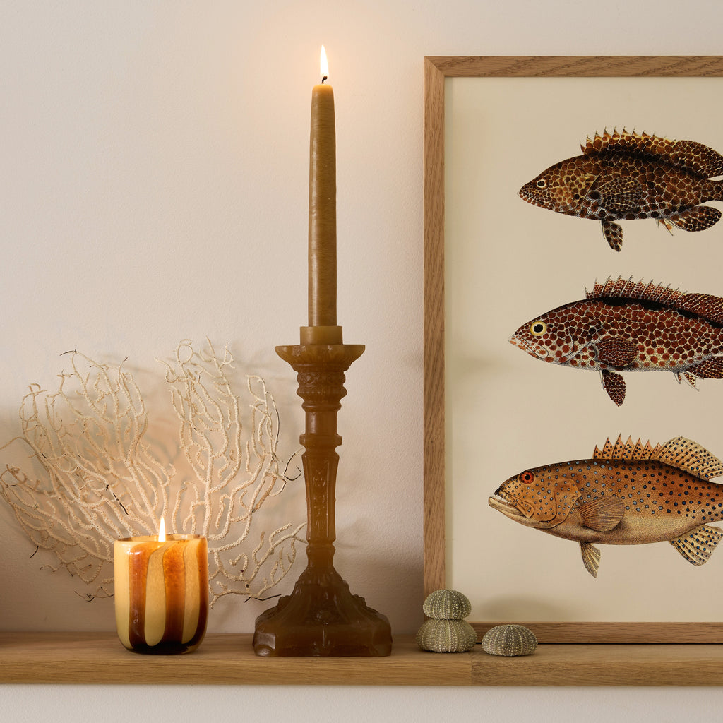 Bougie ou bougeoir en cire