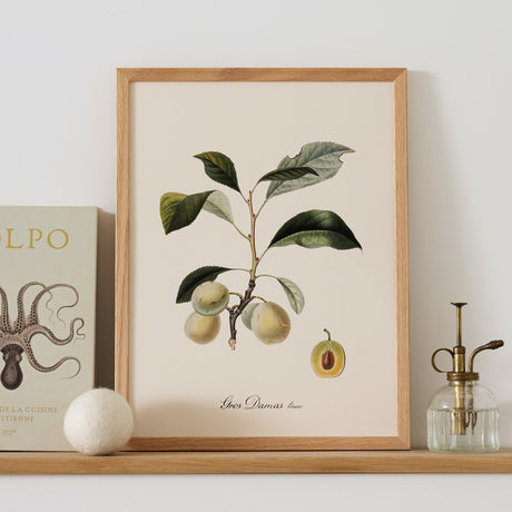 Affiche Prune Verte