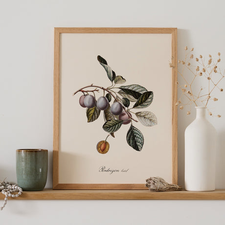 Affiche Prune