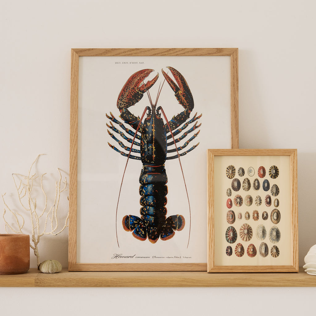 Affiche Homard
