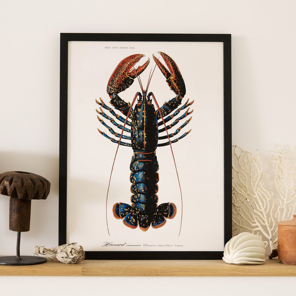 Affiche Homard