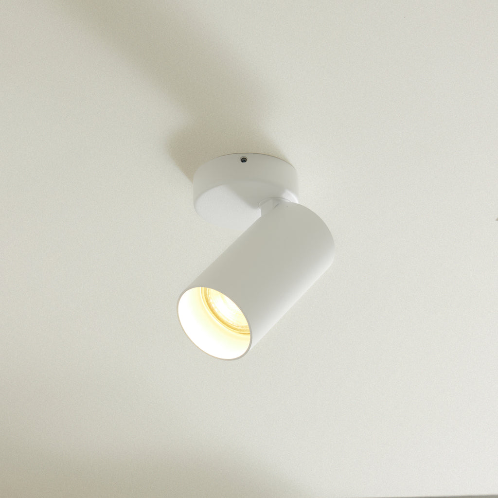 Plafonnier Spot led blanc Spot Orientable