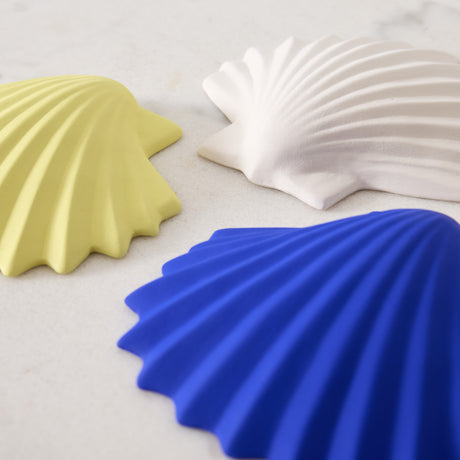 Coquillage en porcelaine