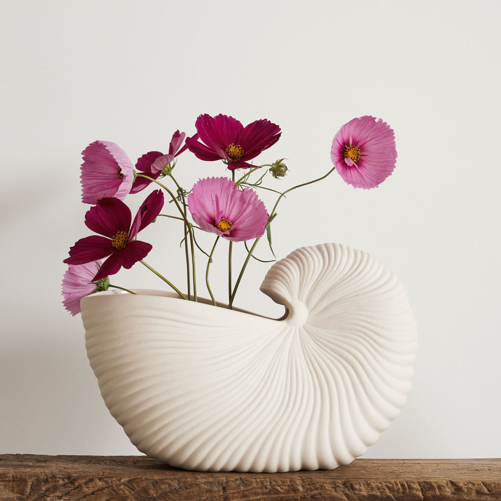 Vase coquillage