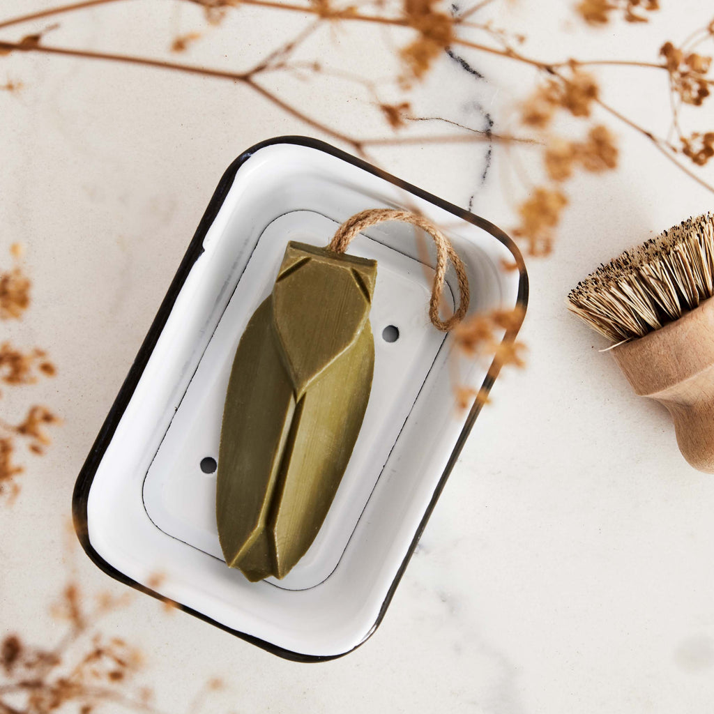 Savon Cigale ou Coquille St Jacques