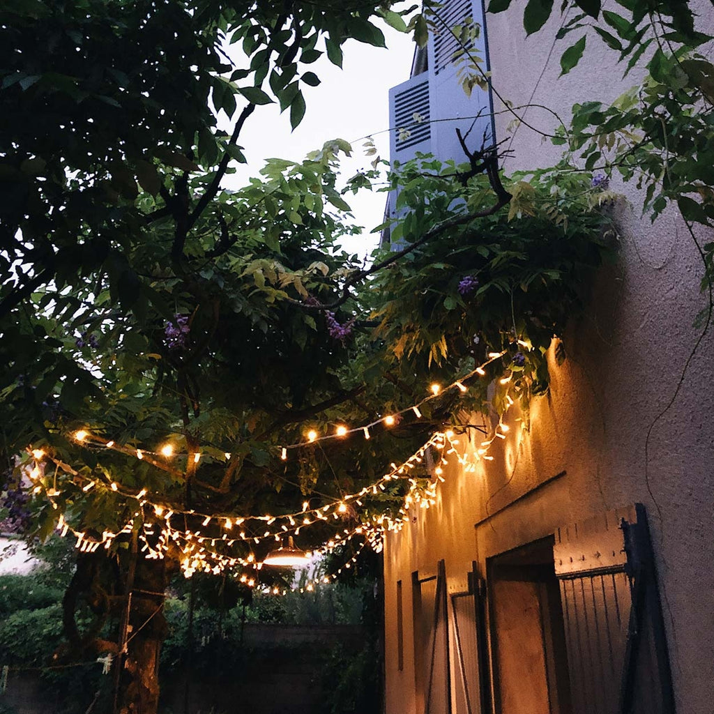 Guirlande lumineuse à Leds