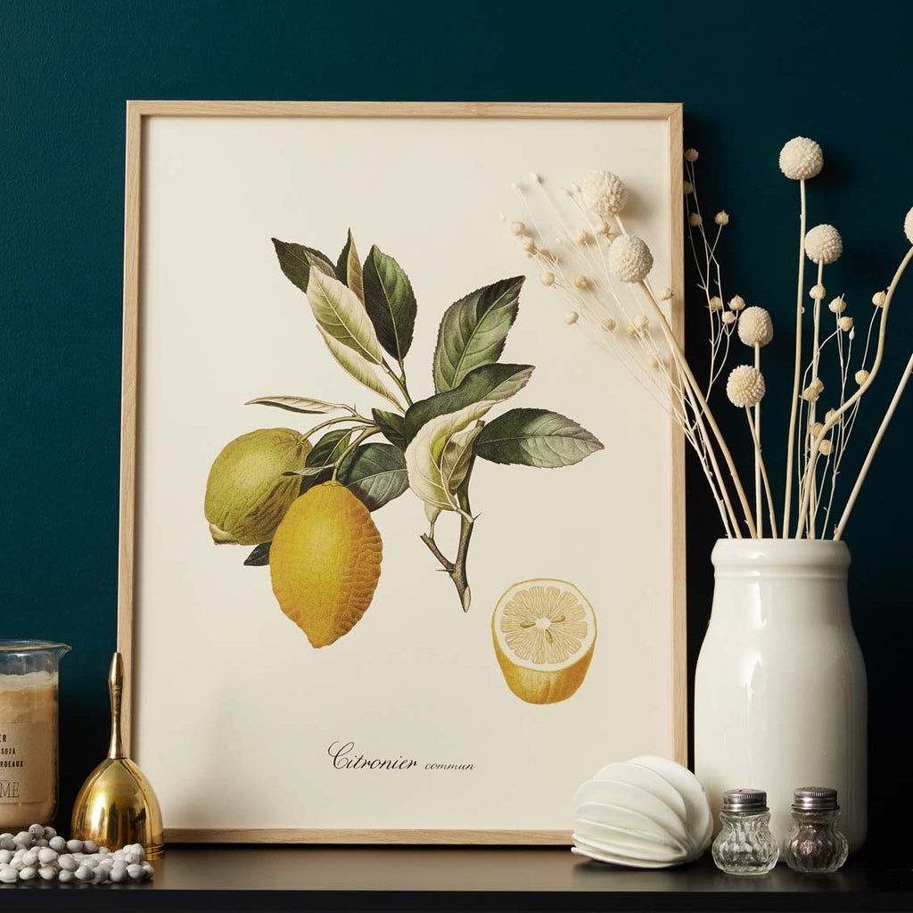 Affiche Citron Default Title