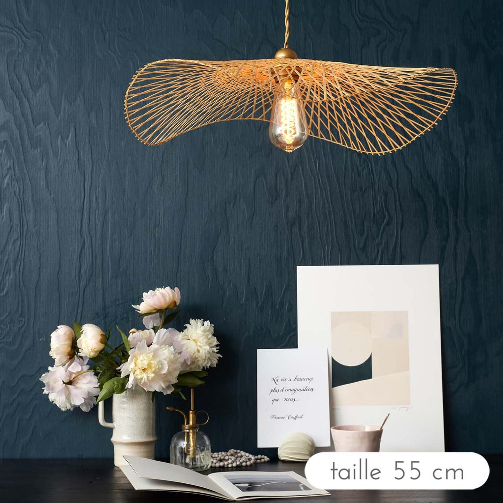 Système électrique pour suspension plafonnier