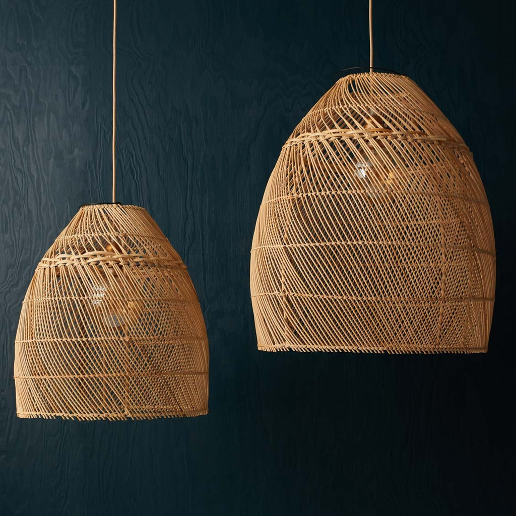 Système électrique pour suspension plafonnier