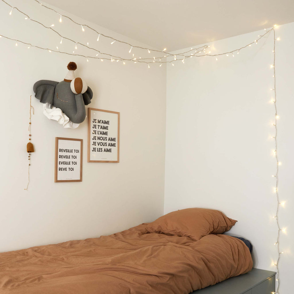 Guirlande lumineuse à Leds
