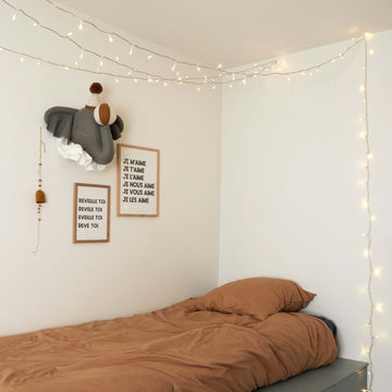 Guirlande lumineuse à Leds