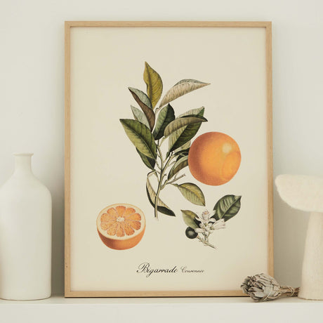 Affiche Orange